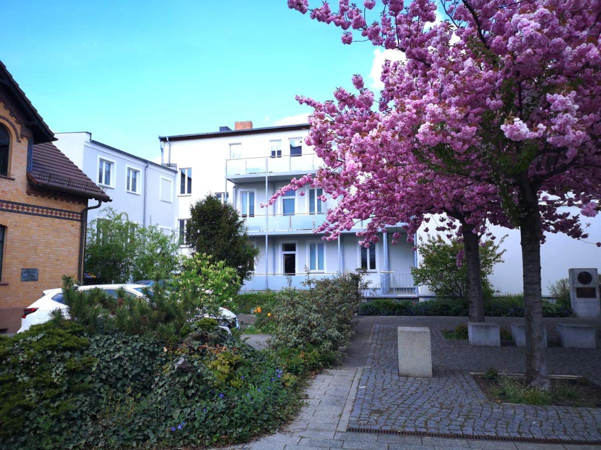 Pb Ferienwohnungen - Fewo 3 - Stilvoll Eingerichtetes Studio Im Herzen Senftenbergs 외부 사진